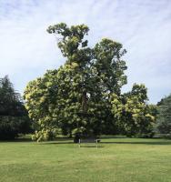 Speaker Evening - The History of Oaks Park 